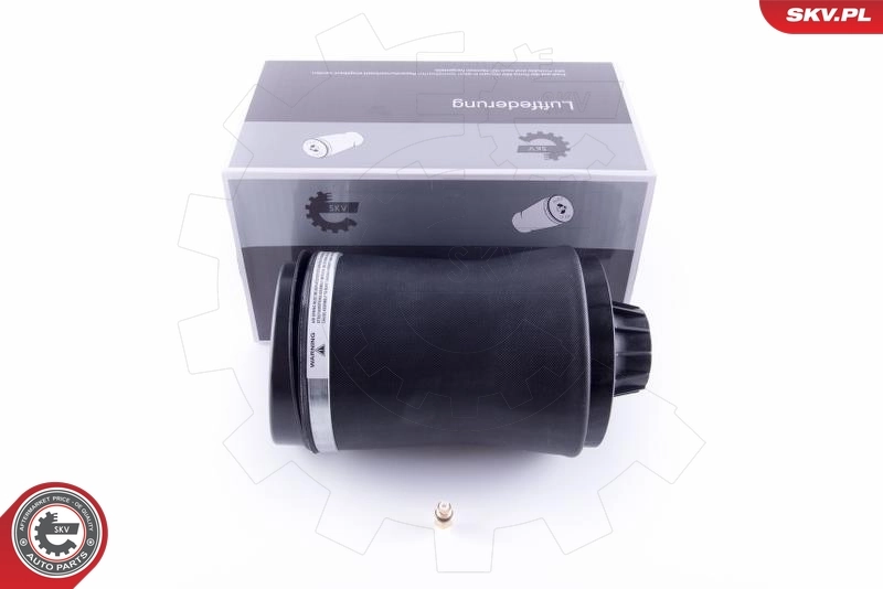 Air Spring, suspension
